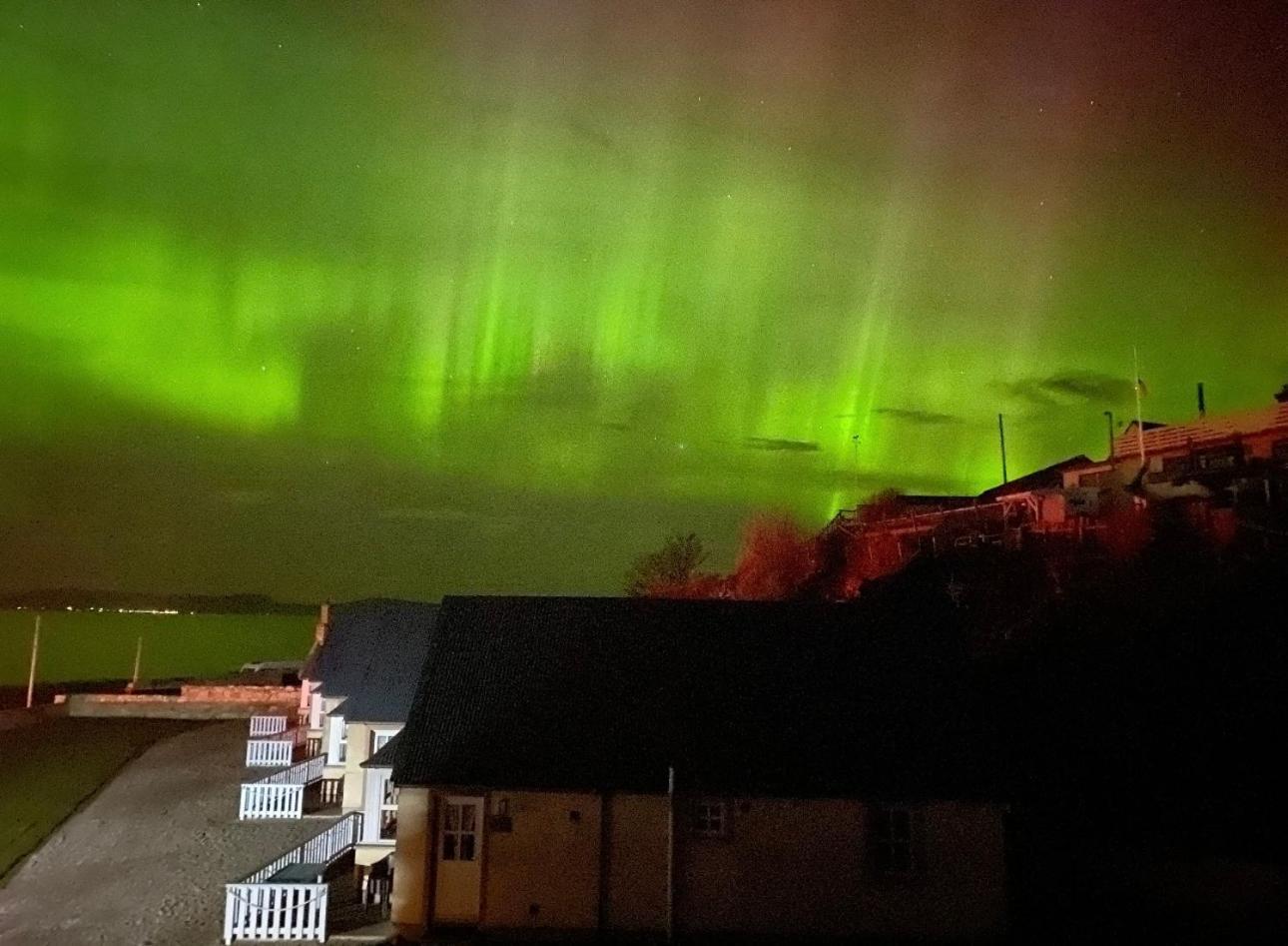 Dolphin View Cottages 2 Portmahomack Bagian luar foto